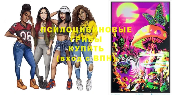 сатива Медвежьегорск