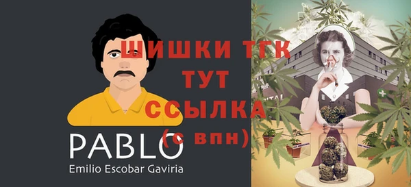 СК Абаза