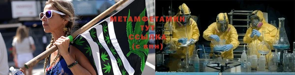 сатива Медвежьегорск