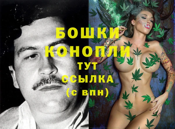 сатива Медвежьегорск