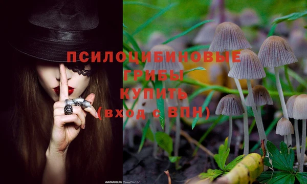 сатива Медвежьегорск
